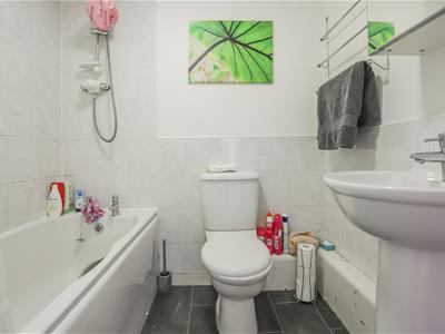 Picture 7
